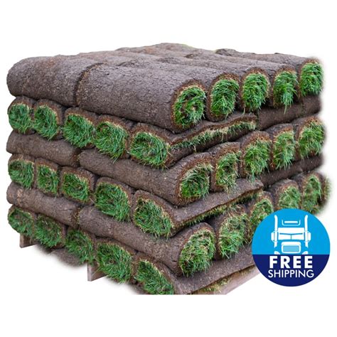 Upon completing your order, Harmony&x27;s direct delivery staff will reach out to schedule your delivery. . Grass sod lowes
